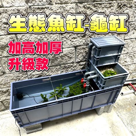 戶外缸適合養什麼魚|室外水缸中古法養魚，什麼品種最適合飼養？